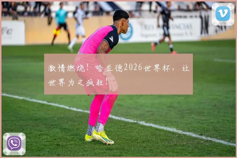 激情燃烧！哈兰德2026世界杯，让世界为之疯狂！